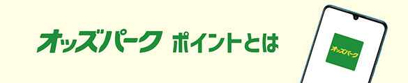 大人のギャンブル オッズパークポイントとは