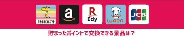 ポイント交換でnanacoやamazonギフト 楽天Edy WAON JCBプレモにする